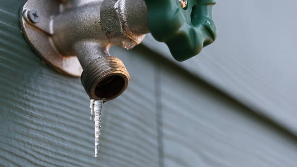 Best Best Plumbers Near Me  in Eagle, ID